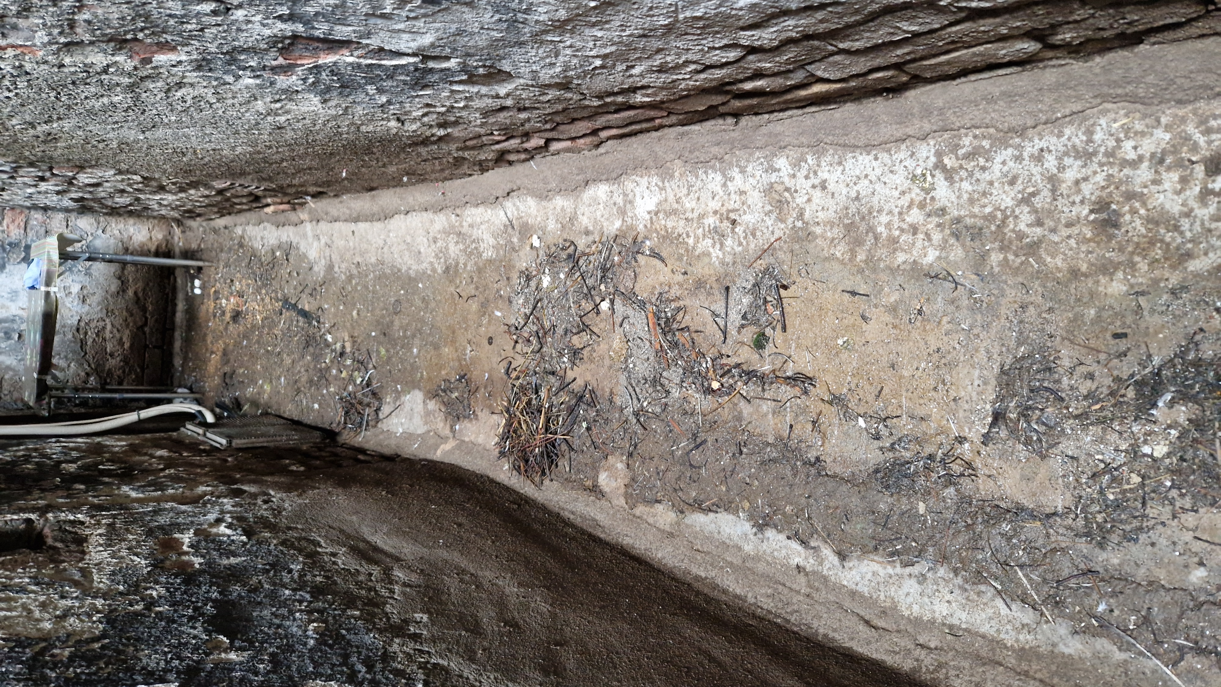 Geburtsort der beiden...